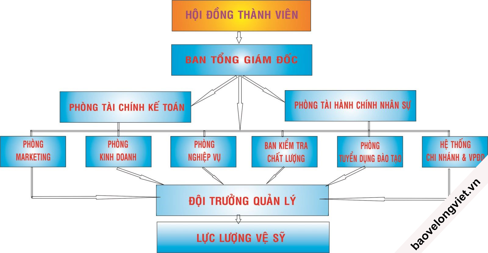 sơ đồ cơ cấu tổ chức của Ku casino