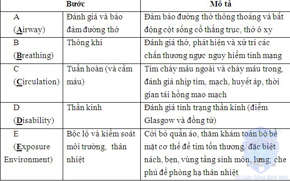 Sơ cấp cứu ban đầu là gì?