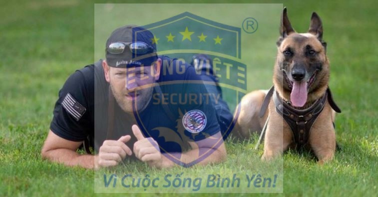 Vai trò của chó nghiệp vụ