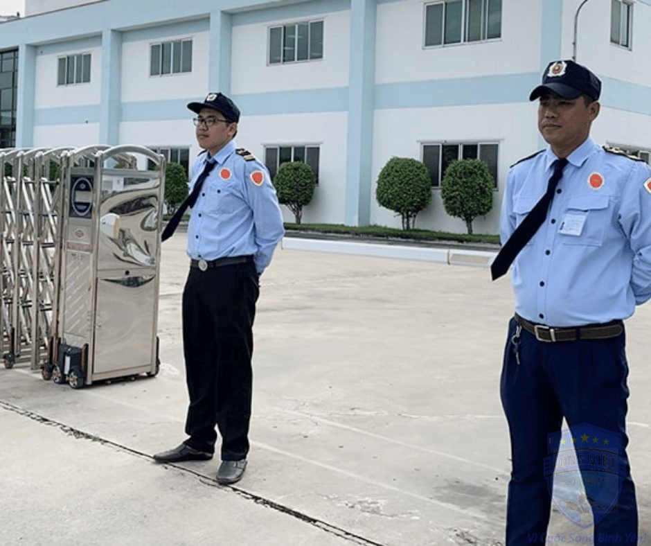 Công Ty Tâm Long Phát – Kubet Tại Long An